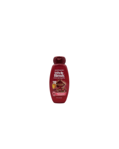 Garnier Whole Blends Shampoo - Color Care Shampoo - Argon Oil & Cranberry Extracts 